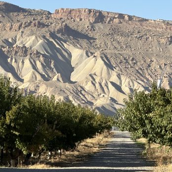 Colterris Winery - Wine Tours Near Me - Palisade, Colorado