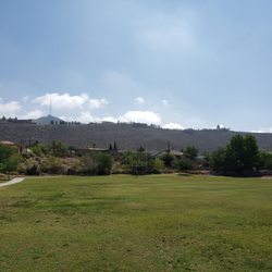 Alethea Park