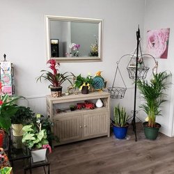 J & A Flowers & Plants - Untitled