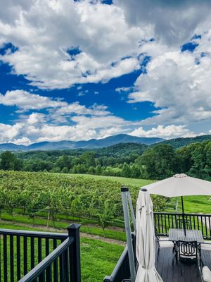 Kaya Vineyard & Winery by null