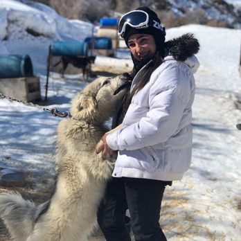 Bear Ridge Adventures - The dogs were so excited to have visitors, they come right up to you and they enjoy the love back. - Sledding Near Me - Coalville, Utah Bear Ridge Adventures - The dogs were so excited to have visitors, they come right up to you and they enjoy the love back. - Sledding Near Me - Coalville, Utah
