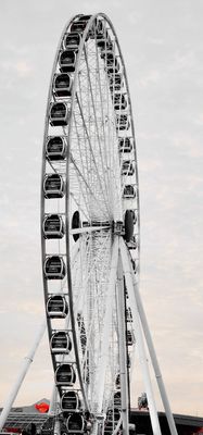 Bayside Marketplace by null