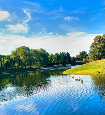 Chicago Botanic Garden by null