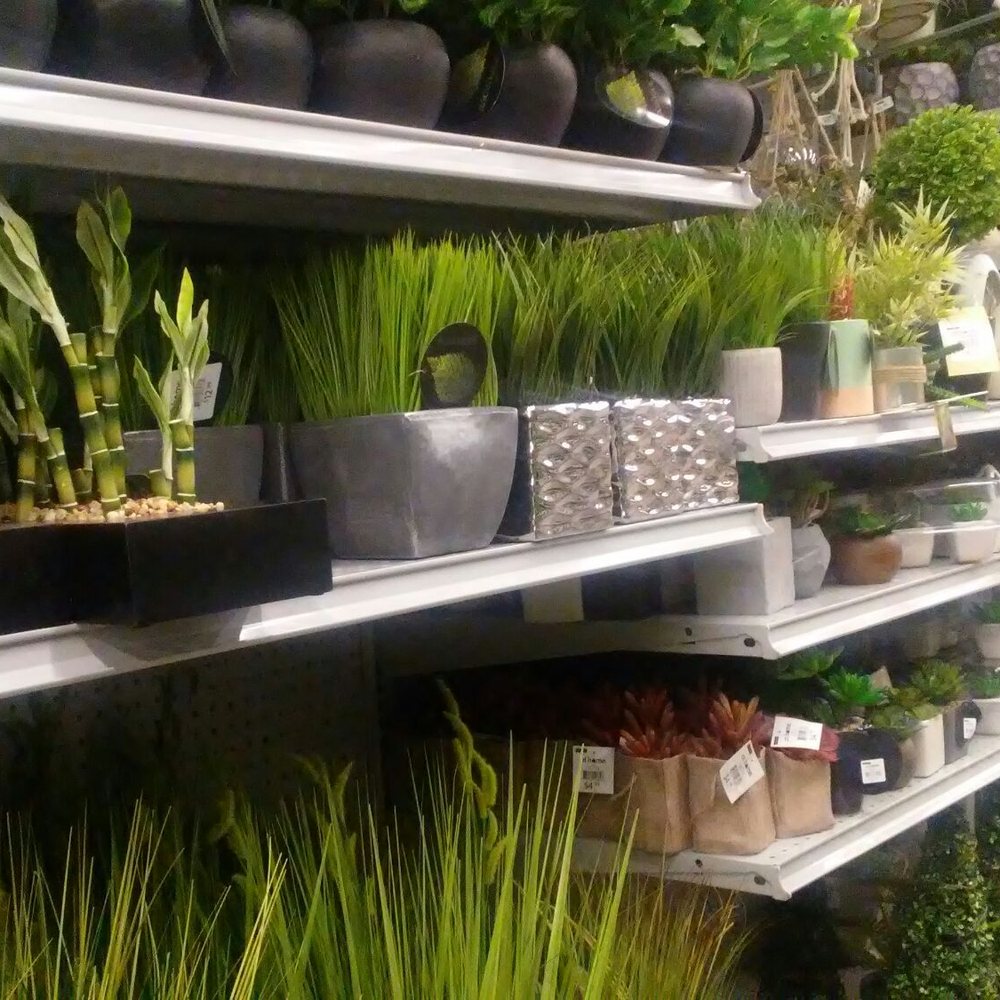 At Home - Realistic fake plants - Furniture Stores Near Me - Phoenix, Arizona At Home - Realistic fake plants - Furniture Stores Near Me - Phoenix, Arizona