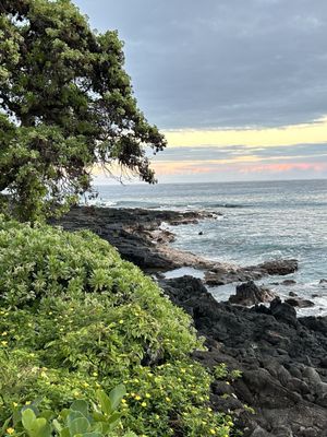 Club Wyndham Royal Sea Cliff by null