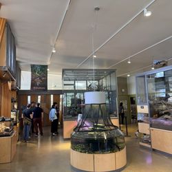 user provided Randall Museum photo