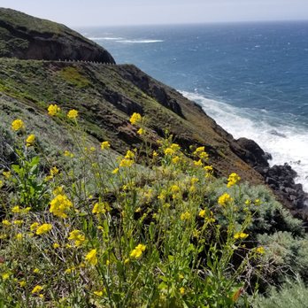 Point Sur State Historic Park - Parks Near Me - Big Sur, California