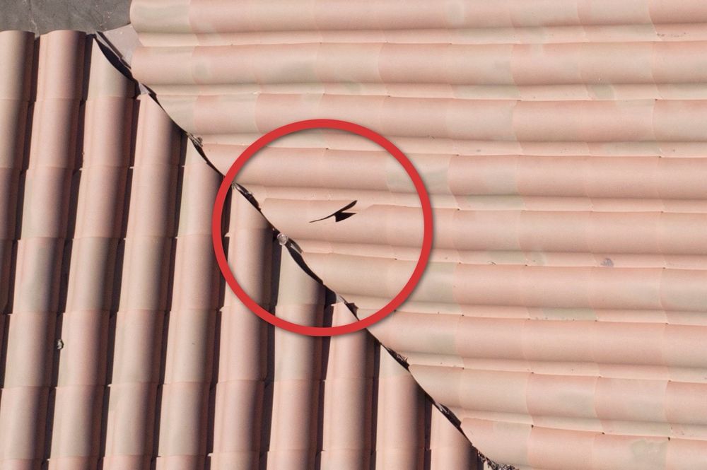 Logic Inspection Group - mold inspector in Orange, CA