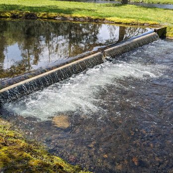 Weaver Creek Spawning Channel - Fishing Near Me - Agassiz, British Columbia