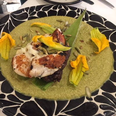 Casa Barroca by null