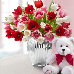 Mixed Tulips