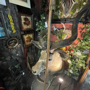 Volo Antique Malls - Antiques Near Me - Volo, Illinois