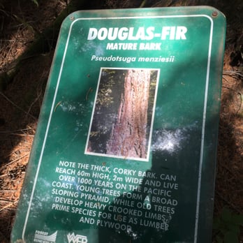 Whistler Interpretive Forest - Parks Near Me - Whistler, British Columbia