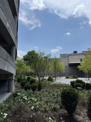 Speed Art Museum by null