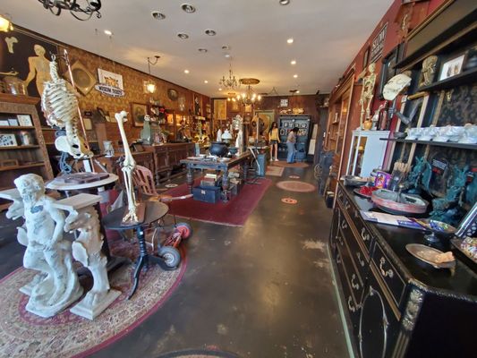 Bearded Lady Vintage & Oddities by null