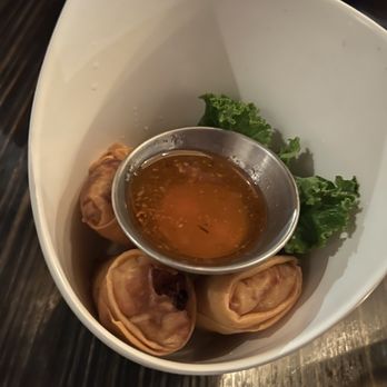 Indie Cafe - Veggie Egg Roll-- delicious, but small serving. Could've put 4 instead of 3 pieces I would say - Sushi Bars Near Me - Chicago, Illinois