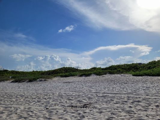 Dr. Von D. Mizell-Eula Johnson State Park by null