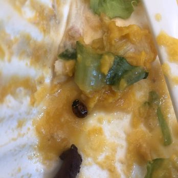 Salad Days - Salad day special - Food Stands Near Me - Toronto, Ontario Salad Days - Salad day special - Food Stands Near Me - Toronto, Ontario