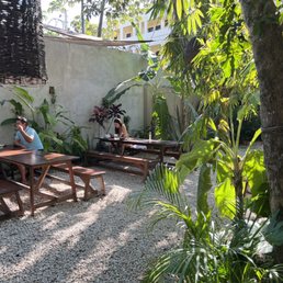 Back garden