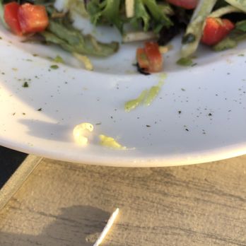 BJ's Restaurant & Brewhouse - Maggot on rim of plate - Breweries Near Me - Corona, California BJ's Restaurant & Brewhouse - Maggot on rim of plate - Breweries Near Me - Corona, California