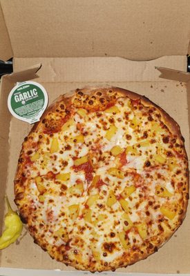 Papa Johns Pizza by null