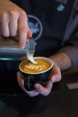 The Coffee Fox Roasting Co. by null