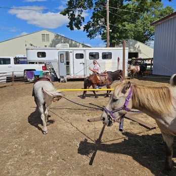 North Haven Fair - Pony rides - Festivals Near Me - North Haven, Connecticut North Haven Fair - Pony rides - Festivals Near Me - North Haven, Connecticut