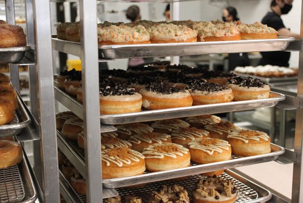 Beechwood Doughnuts by null