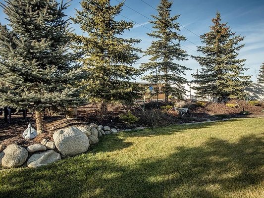 Western Tree Transplanting