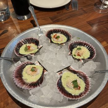 Jolie - Scallops - Seafood Near Me - Coronado, California Jolie - Scallops - Seafood Near Me - Coronado, California