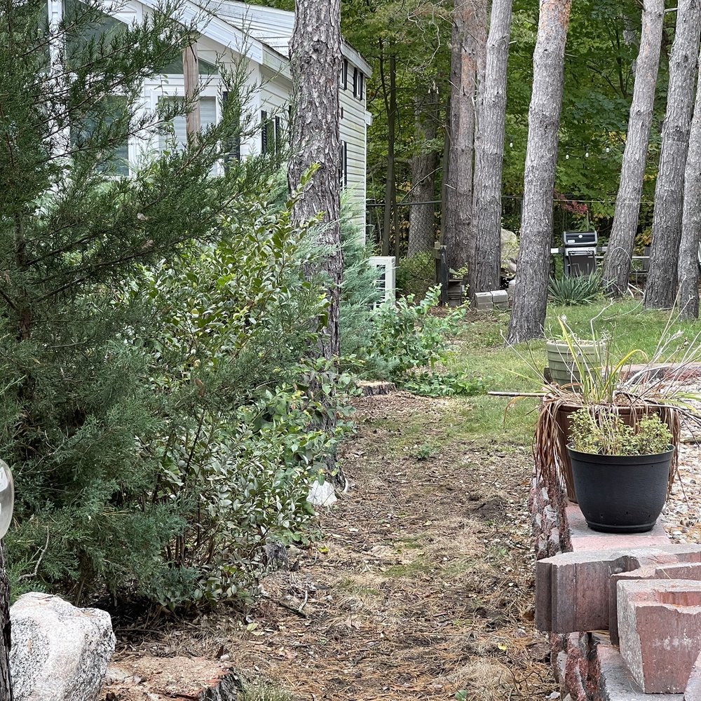 Gallardo Tree Service - Tree Services Near Me