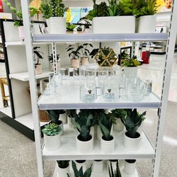Target - Proud plant parent