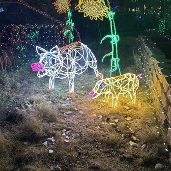 River Of Lights - Festivals Near Me - Albuquerque, New Mexico