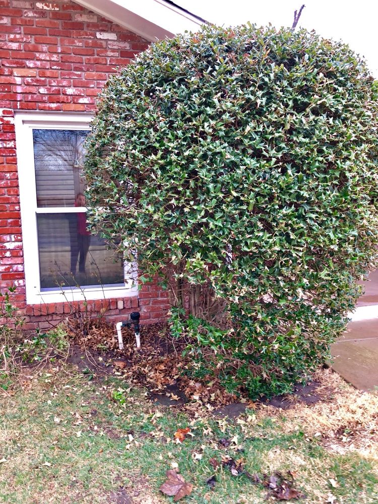 Slide of Aquarius Greenbelt