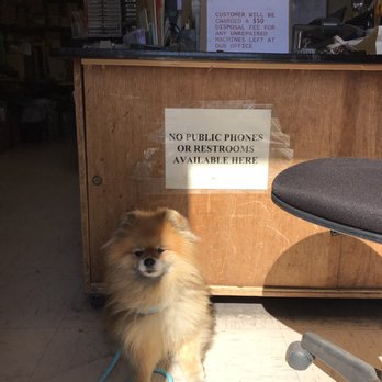 Pacific Business Machines - But Pet Friendly 01/21/2019 - Office Equipment Near Me - Aiea, Hawaii Pacific Business Machines - But Pet Friendly 01/21/2019 - Office Equipment Near Me - Aiea, Hawaii