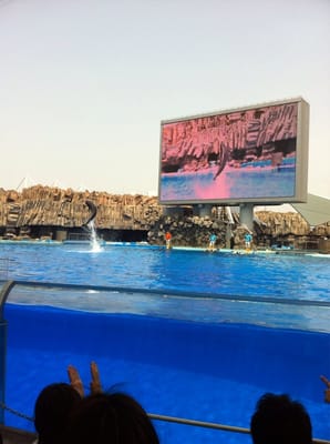 Port Of Nagoya Public Aquarium by null