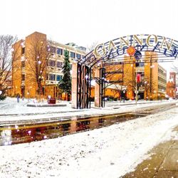 Gannon University