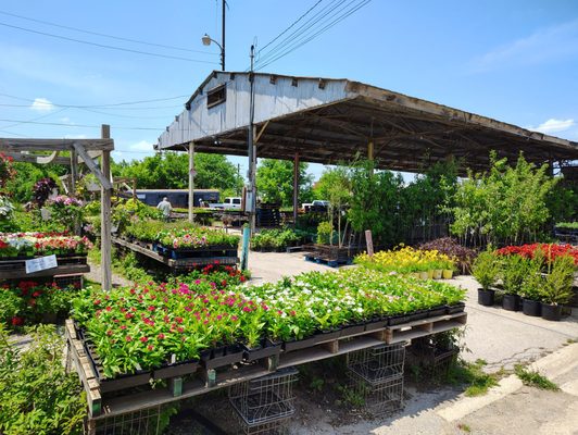 OKC Farmers Public Market by null