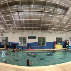 Sharkie's Academy
