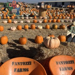 Fantozzi Farms Corn Maze & Pumpkin Patch