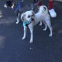 Photo of From Wags To Whiskers Pet Salon