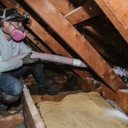 My Insulation Guy - Home insulation service