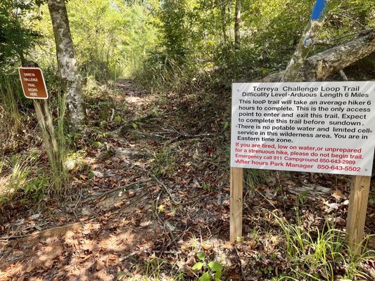 Torreya State Park by null