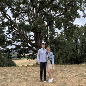 Oregon Wine Tours - Renosance Winery - Wine Tours Near Me Oregon Wine Tours - Renosance Winery - Wine Tours Near Me