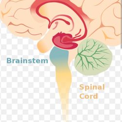 Healing From The Core Within