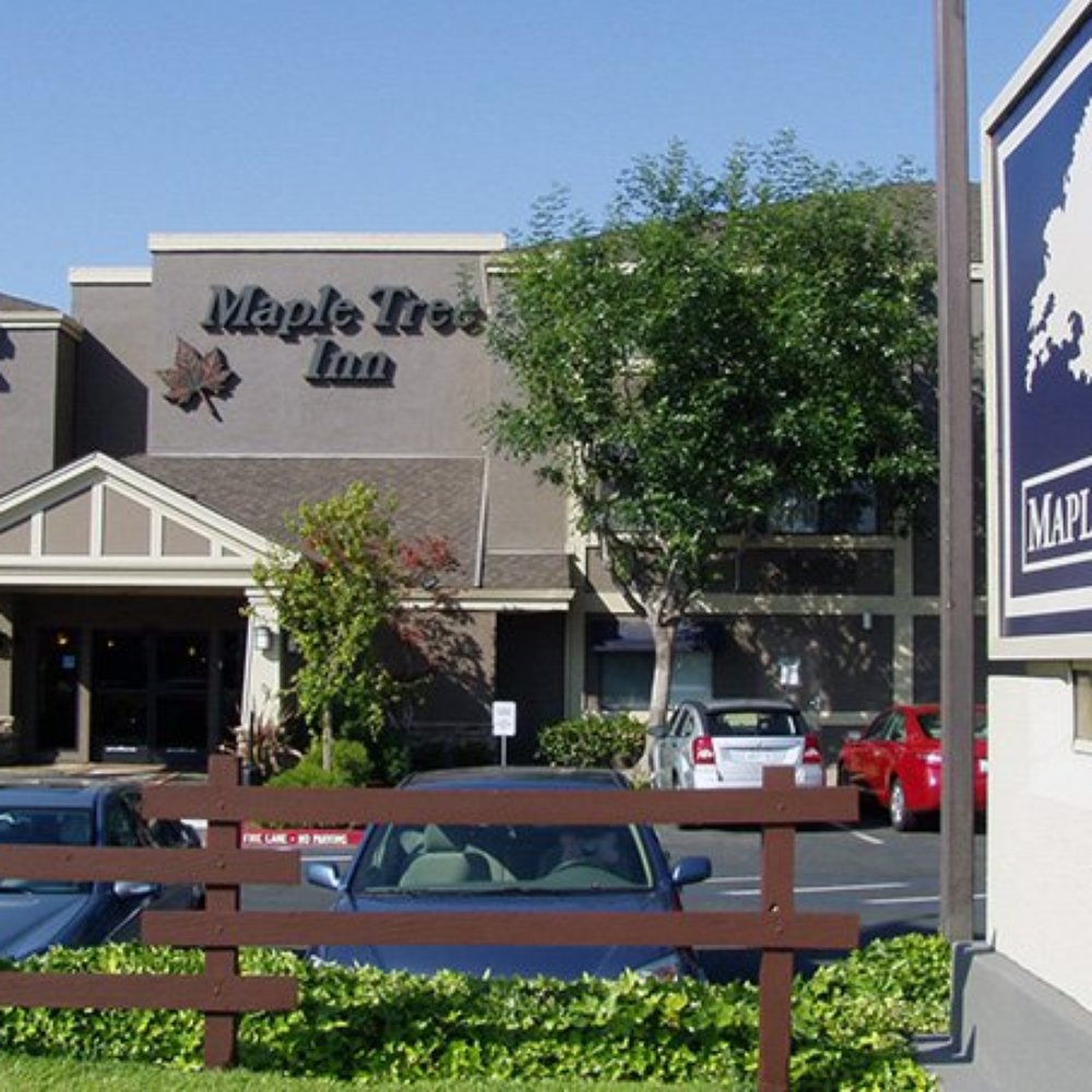Maple Tree Inn - Front - Hotels Near Me - Sunnyvale, California Maple Tree Inn - Front - Hotels Near Me - Sunnyvale, California
