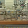 Broadneck Pharmacy gift card
