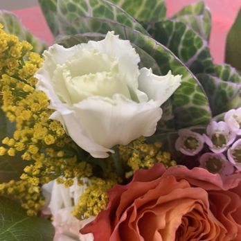 Honeycomb & Co - Home Decor Near Me - Littleton, Colorado Honeycomb & Co - Home Decor Near Me - Littleton, Colorado