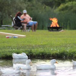 Spring Creek Lavender Farm - Date night on the farm. Enjoying s'mores by the pond.