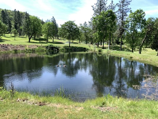 RED MOUNTAIN GOLF COURSE 324 Mountain Greens Ln Grants Pass OR Yelp
